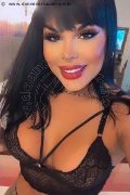 Verona Trans Mylla Brazao 346 36 31 420 foto selfie 2