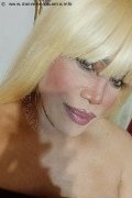Milano Trans Escort Nicole Vip Venturiny 353 35 38 868 foto selfie 543