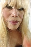 Milano Trans Escort Nicole Vip Venturiny 353 35 38 868 foto selfie 546