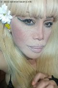 Milano Trans Escort Nicole Vip Venturiny 353 35 38 868 foto selfie 110