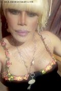 Milano Trans Escort Nicole Vip Venturiny 353 35 38 868 foto selfie 474