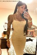 Padova Trans Escort Nicolly Gold 328 88 22 010 foto selfie 1