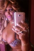 Cosenza Trans Nora 329 53 67 641 foto selfie 31