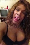 Milano Trans Paolina Mulatta 333 29 10 933 foto selfie 4