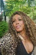 Mestre Trans Escort Paolina Mulatta 333 29 10 933 foto selfie 3