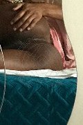 Milano Trans Paula Xxl 376 29 61 336 foto selfie 25