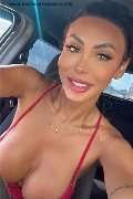 Gallarate Trans Escort Thayys Castro 329 72 89 046 foto selfie 8