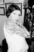 Treviso Trans Valeria 338 87 18 849 foto selfie 569