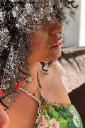 Foto Serena Transescort Bologna 327 1309016 - 10