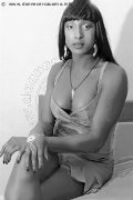 Foto Serena Xl Trans Malnate 349 4525094 - 10