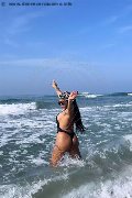 Foto Sofia Transescort Francavilla Al Mare 342 3203042 - 13