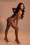 Foto Sophia Brasiliana Xxl Trav Milano 344 6989173 - 14