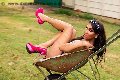 Foto Thalita Top Xxxl Transescort Gallarate 388 4885062 - 21