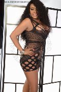 Foto Tina Trans Messina 371 1801662 - 8