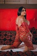 Foto Trecy Trans Avellino 350 9822464 - 3