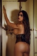 Foto Trecy Trans Avellino 350 9822464 - 4