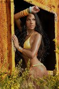 Foto Vajolet Dior Transescort Ponte San Giovanni 377 9997086 - 9