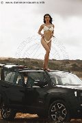 Foto Vanessa Hilton Trans Modena 324 5846577 - 110