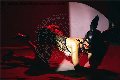 Foto Vanessa Hilton Trans Modena 324 5846577 - 132