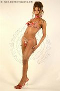 Foto Vick Campana Transescort Roma 348 6445725 - 4