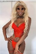 Foto Virna La Super Dotata Trans Milano 349 4393969 - 2