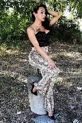 Foto Adriana Paulett Transescort 389 1399263 - 311