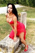 Foto Adriana Paulett Transescort 389 1399263 - 339
