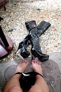 Foto Amy Trans Verona 340 6343727 - 113