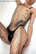 Foto Ariel Femboy Travescort Roma 329 5516521 - 26