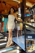 Foto Bianca Maravilla Trans Verona 380 7848515 - 49