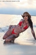 Foto Bruninha Trans Firenze 350 8578851 - 31