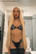 Foto Brunna Campanaro Trans Imola 350 9335566 - 9