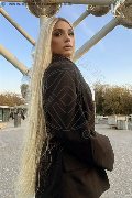 Foto Brunna Campanaro Trans Imola 350 9335566 - 16