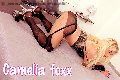 Foto Camelia Transescort Nettuno 338 3977686 - 144