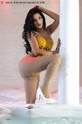 Foto Celeste New Trans Alba 351 1837392 - 23