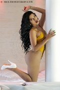 Foto Celeste New Trans Alba 351 1837392 - 22