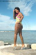 Foto Evelyn Trans Marina Di Montemarciano 331 8830858 - 70