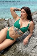 Foto Flavia Trans Como 320 1153101 - 3