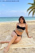 Foto Flavia Trans Como 320 1153101 - 25