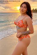 Foto Flavia Trans Como 320 1153101 - 27