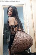 Foto Genesis Trans Isernia 333 2314246 - 6