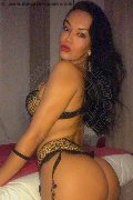 Foto Giselle Oliveira Trans 388 1617895 - 7