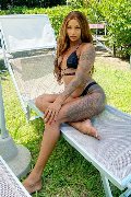 Foto Hillary Brasiliana Trans Alba Adriatica 338 4136322 - 43