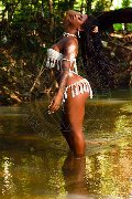 Foto Hillary Brasiliana Trans Alba Adriatica 338 4136322 - 96