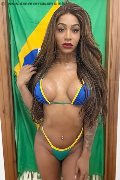 Foto Hillary Brasiliana Trans Alba Adriatica 338 4136322 - 2
