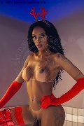 Foto Hot Barbie Black Trans Milano 392 4464272 - 17