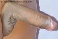 Foto Hot Sabrina Trans Grosseto 328 0854149 - 10