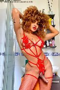 Foto Hot Stella Trans Milano 329 5563971 - 5