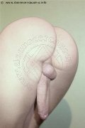 Foto Hot Vanessa Dior Trav Noventa Di Piave 345 0405832 - 2