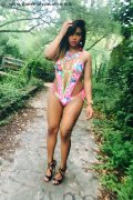 Foto Lara Mulata Brasiliana Trans Agrigento 324 5824686 - 41
